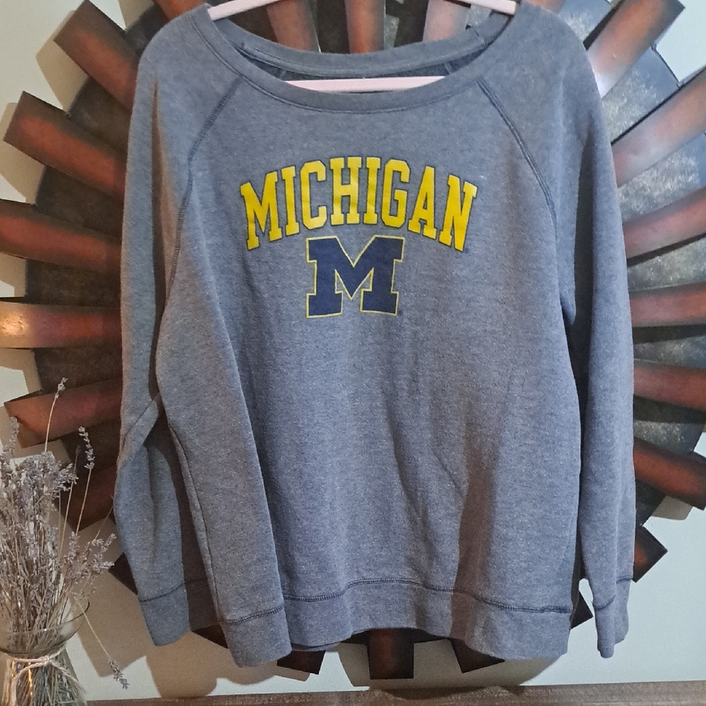 Gray Michigan Women's Sweatshirt EuC